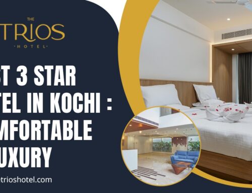 Best 3 Star Hotel in Kochi: Comfortable & Luxury
